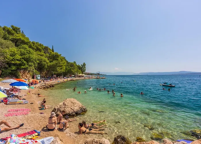 Harmonia 德拉马利