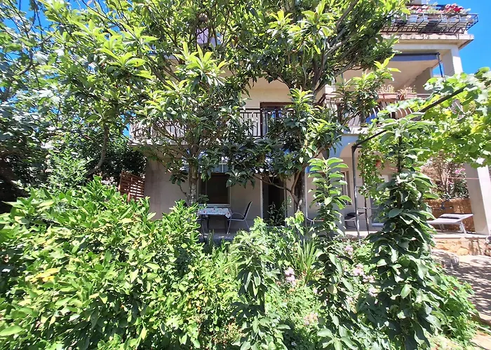 Harmonia 德拉马利